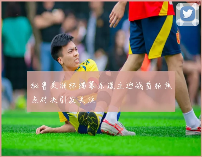 秘鲁美洲杯揭幕东道主迎战首轮焦点对决引发关注