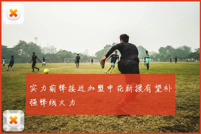 实力前锋接近加盟申花新援有望补强锋线火力