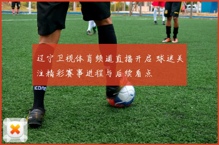 辽宁卫视体育频道直播开启 球迷关注精彩赛事进程与后续看点