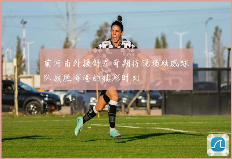 前河南外援舒尼奇期待现场助威球队战胜海港的精彩时刻