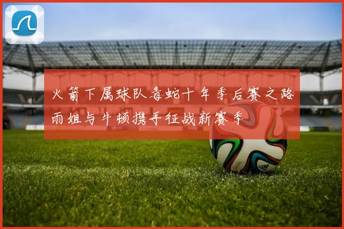 火箭下属球队毒蛇十年季后赛之路雨姐与牛顿携手征战新赛季