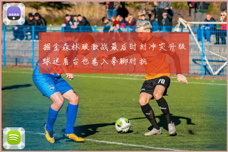 掘金森林狼激战最后时刻冲突升级球迷看台也卷入拳脚对抗