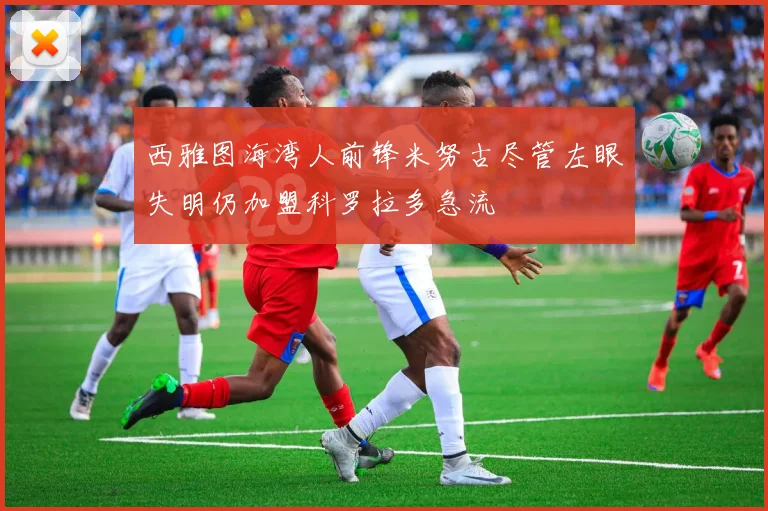 西雅图海湾人前锋米努古尽管左眼失明仍加盟科罗拉多急流